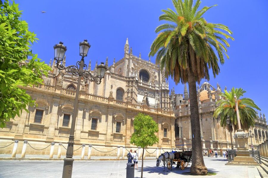 Seville: Cathedral, Giralda & Alcazar Entry With Guided Tour - Key points to know before booking
