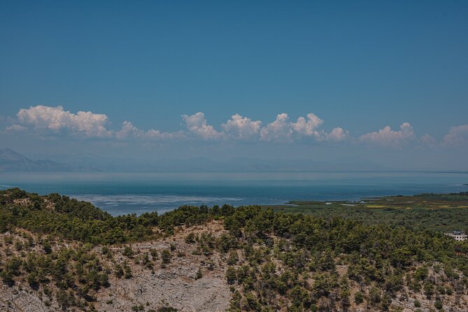 Shkodra from Tirana: Day Tour of castle, city & Skadar Lake - The local bazaar and everyday Shkoder