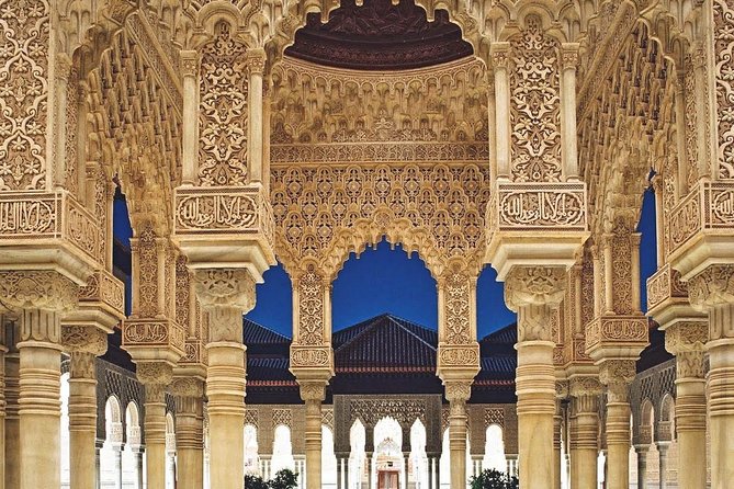 Shore Excursion from Almeria: Alhambra and Generalife Gardens - Guide and driver support