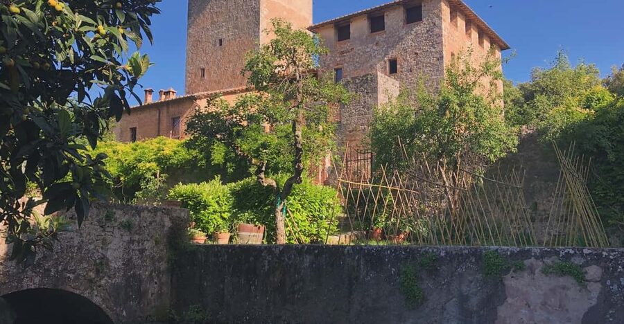 Siena: Tour and Wine Tasting in a Tuscan Private Castle - Tasting four or five wines at an unhurried pace