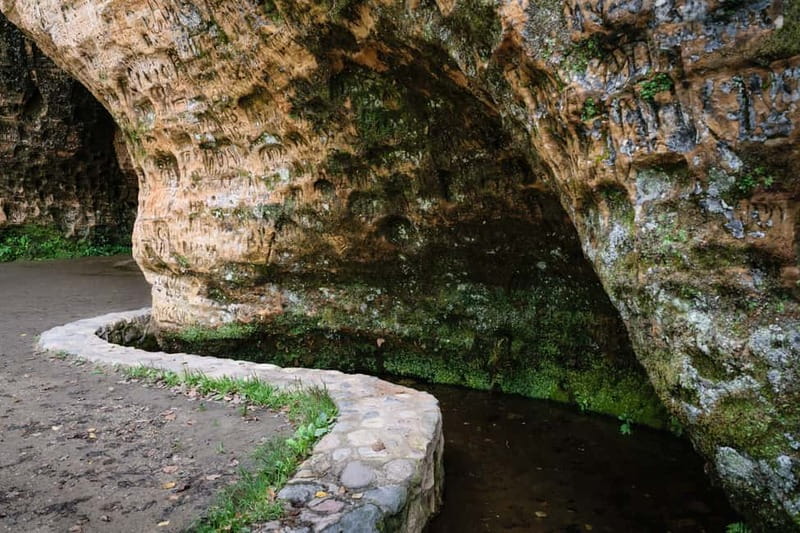 Sigulda Day Tour - Castle Ruins, Gūtmaņala Grotto, & More - Who should book this Sigulda outing?