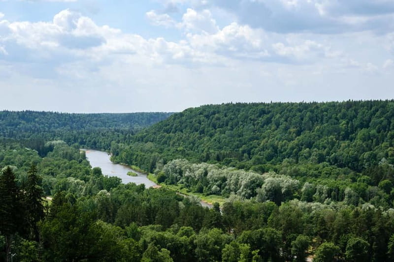 Sigulda Day Tour - Castle Ruins, Gūtmaņala Grotto, & More - The Sigulda aerial cableway and Gauja views