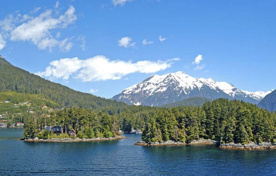 Sitka: Totem Poles, Raptor Centre, & Fortress of Bears Tour - From the cruise terminal to Japonski Island