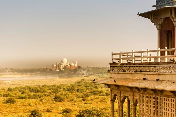 Skip-the-Line Private Tour to Taj Mahal and Agra Fort - A guide changes how you read the monuments