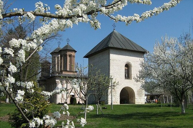 Slanic Salt Mine & Dracula's Grave - Private Tour from Bucharest - Booking tips for a smoother day
