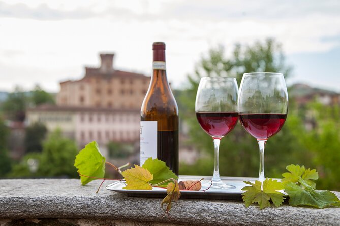 Small-Group Barolo Wine Tasting, Alba & UNESCO Piedmont Hills - Inside a family-run Barolo winery
