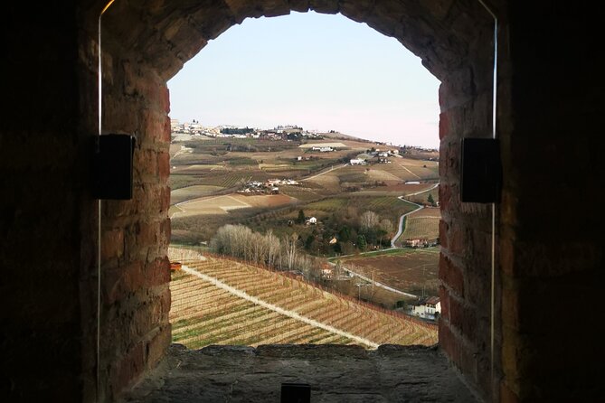 Small-Group Barolo Wine Tasting, Alba & UNESCO Piedmont Hills - Who should book this Piedmont excursion