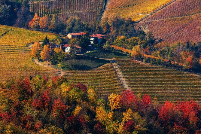 Small-Group Barolo Wine Tasting, Alba & UNESCO Piedmont Hills - How the pace feels in real life