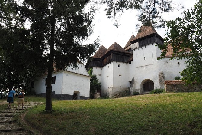 Small Group Tour to Viscri Church Sighisoara Town Rupea Fortress - Who should book this Brasov day trip?