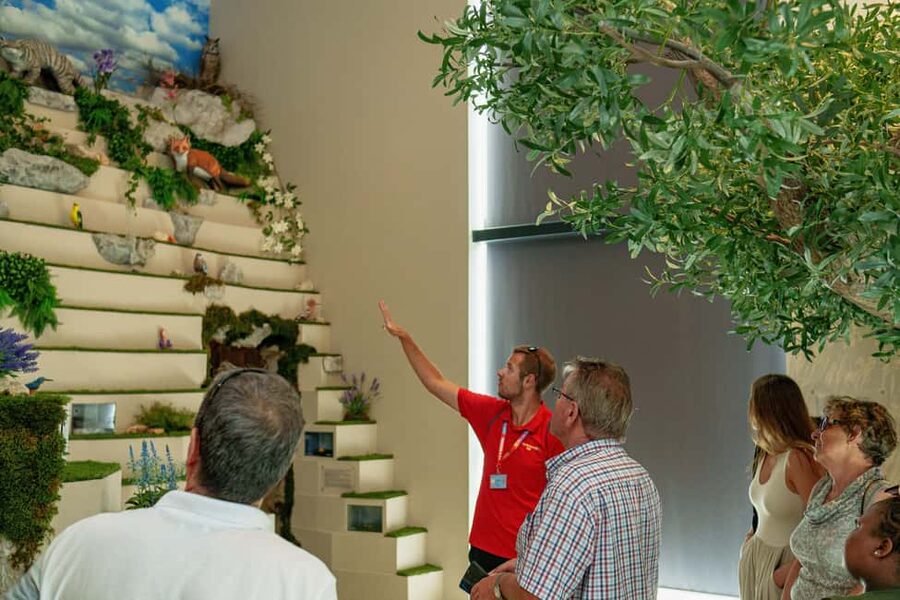 Split: Historical Tour of Salona, Klis Fortress and Trogir - Who will enjoy this day most