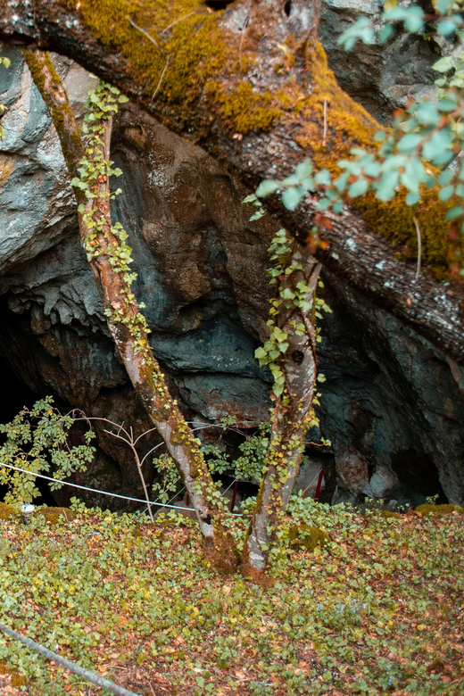 Split: Private tour to Klis Fortress and Vranjača cave - Stella Croatica: olive culture and local sweets