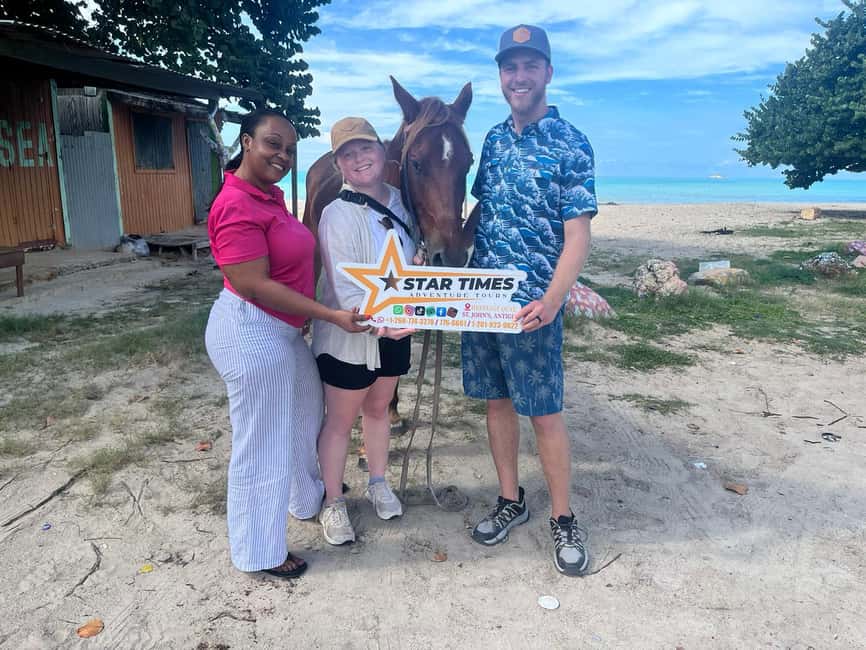 St. Johns: Horseback Riding Bareback Swim, &Fort James Beach - Why the horse swim is the real draw