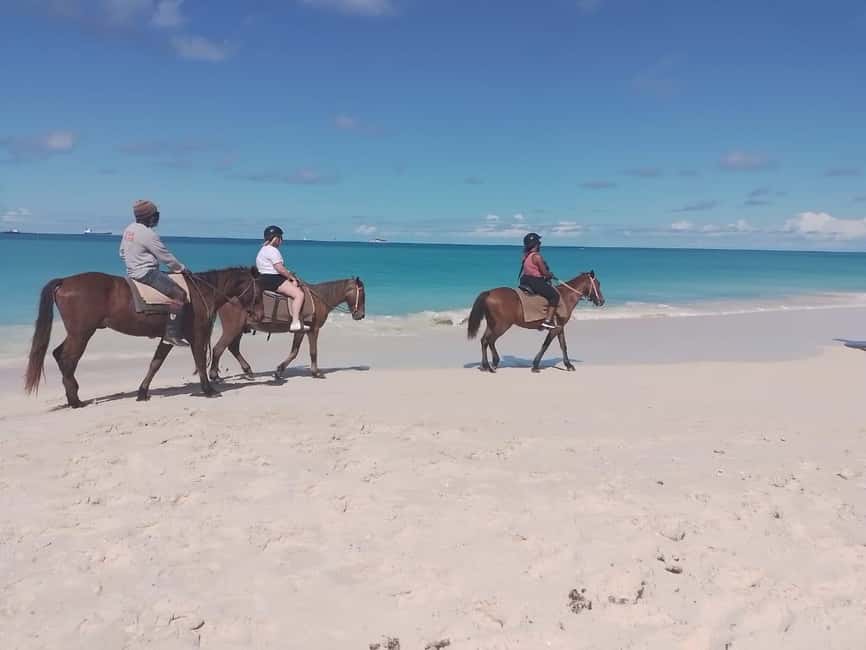 St. Johns: Horseback Riding Bareback Swim, &Fort James Beach - A scenic ride beyond the sand