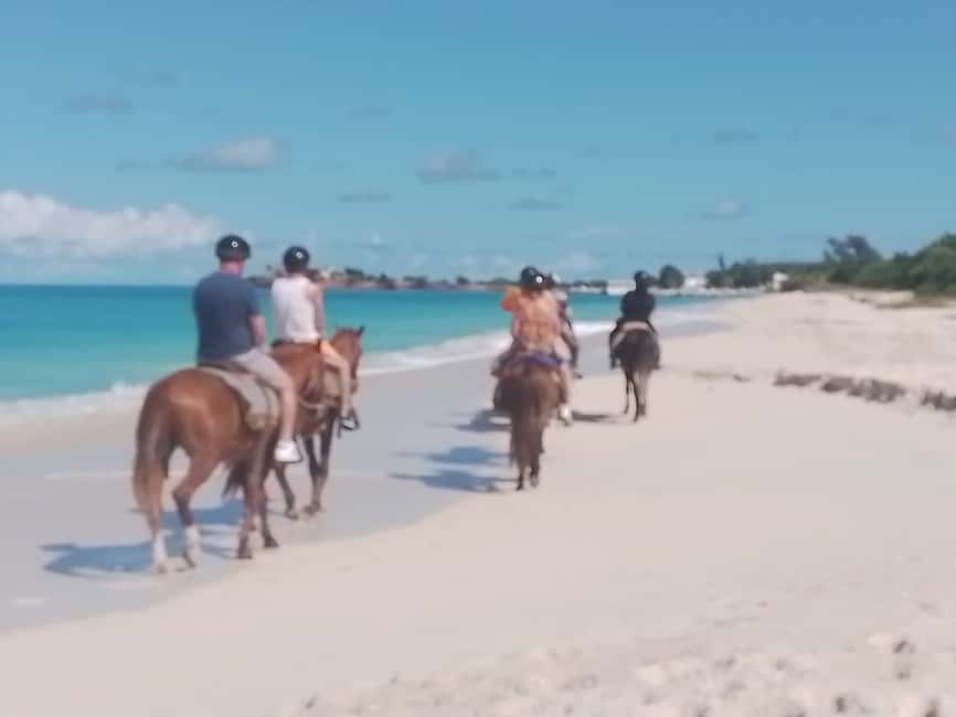 St. Johns: Horseback Riding Bareback Swim, &Fort James Beach - Practical packing list