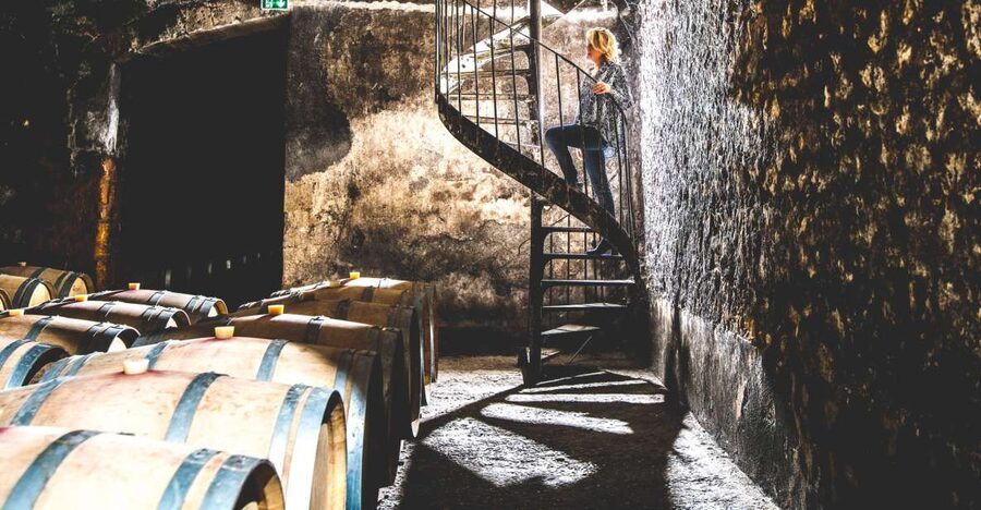 Taillan-Médoc: Château Visit and Wine Tasting in Bordeaux - Key points to know before you go