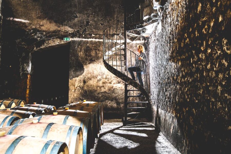 Taillan-Médoc: Château Visit and Wine Tasting in Bordeaux - Why Château du Taillan makes sense for a short Bordeaux outing