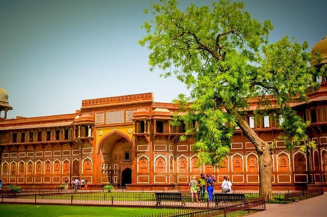Taj Mahal & Agra Fort Tour from Agra City - Who will enjoy this tour most?