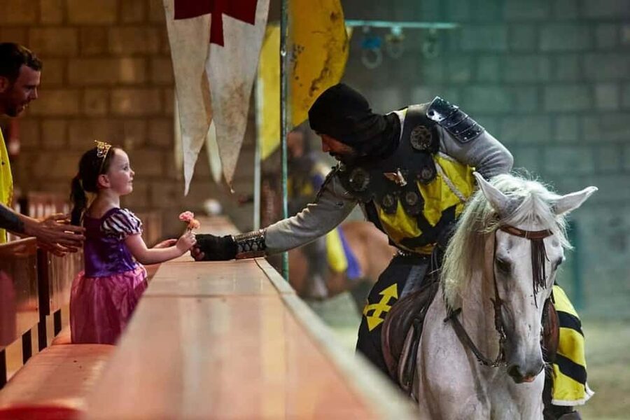 Tenerife: Castillo San Miguel Medieval Show and Banquet - Spanish horses and birds of prey add real spectacle