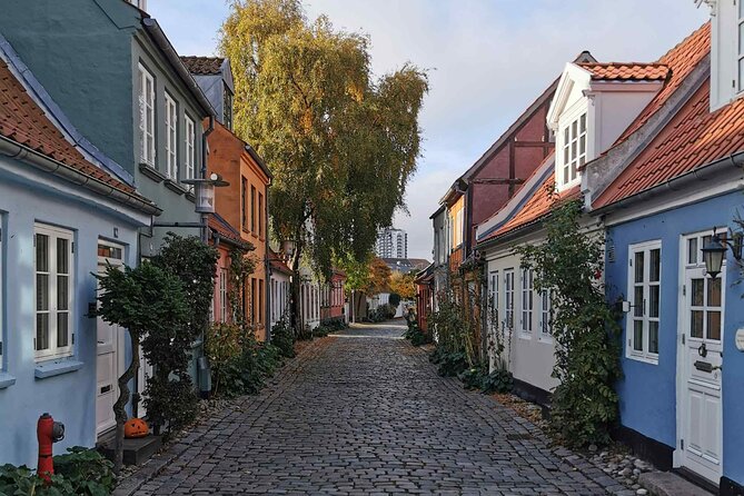 The Ancient Viking Stronghold of Aros: A Self-Guided Audio Tour in Aarhus - Aarhus Cathedral, Denmark’s longest basilica