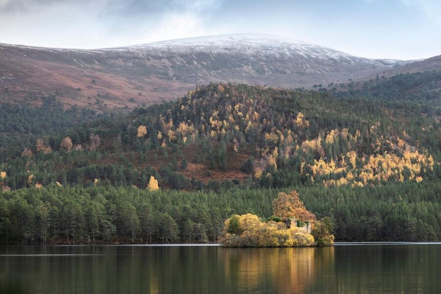 The Cairngorms, Culloden, and Speyside Whisky Tour - Culloden Battlefield and the end of the Jacobite Rising