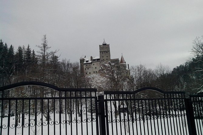 The Castles from the Carpathian Mountains! The Fixers Private Tour - Bran Castle or Prejmer Fortress