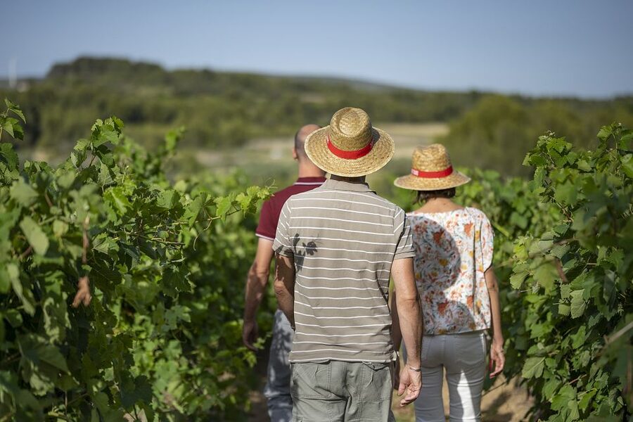 The Châteaux of Grès de Montpellier & Wine Tasting - FAQ