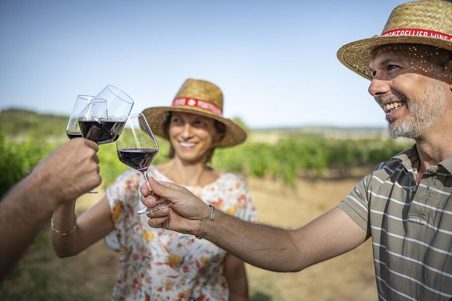 The Châteaux of Grès de Montpellier & Wine Tasting - What the wine tasting is really like