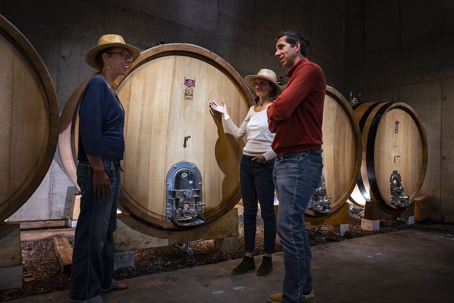 The Châteaux of Grès de Montpellier & Wine Tasting - Book it or choose another wine outing?