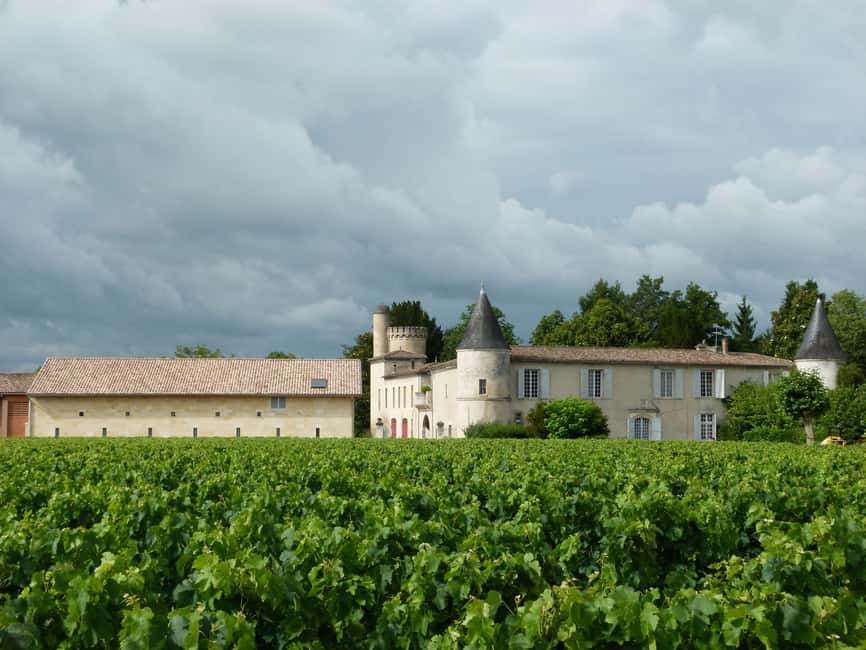 The vertical at Château Cruzeau - Soil life and the work behind each bottle