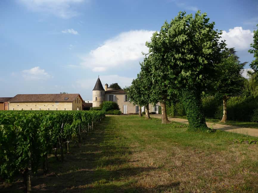 The vertical at Château Cruzeau - Starting among the vines near Saint-Émilion and Pomerol