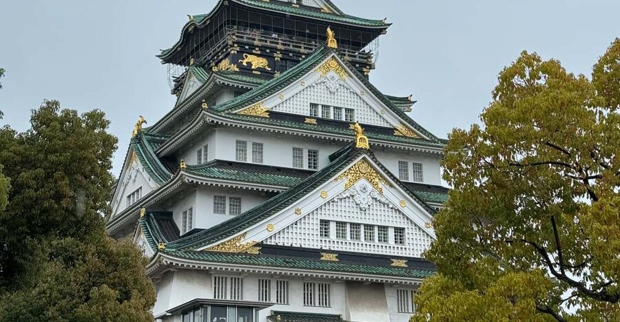 (Ticket Included) Explore Osaka Castle & Museum of History - Two ways to see Osaka Castle