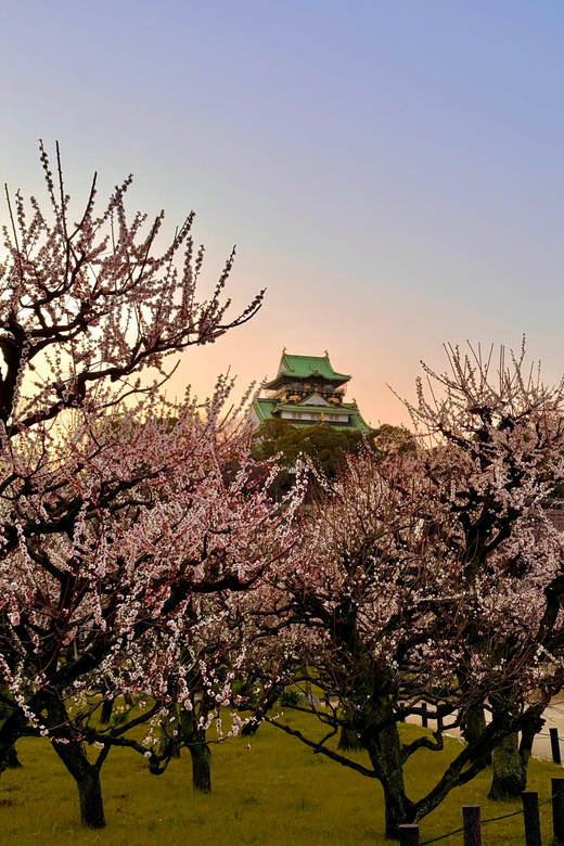 (Ticket Included) Explore Osaka Castle & Museum of History - The museum makes Osaka’s story easier to follow