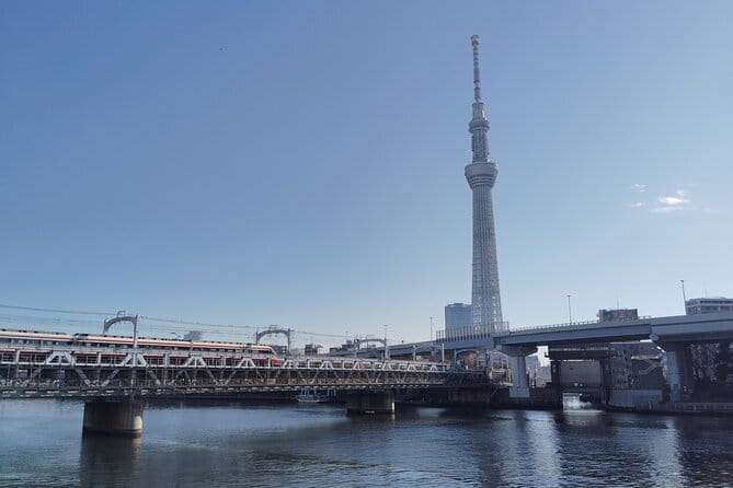 Tokyo Castle & Imperial PalaceーShogun Walking Tour - The main tower ruin and what no longer exists