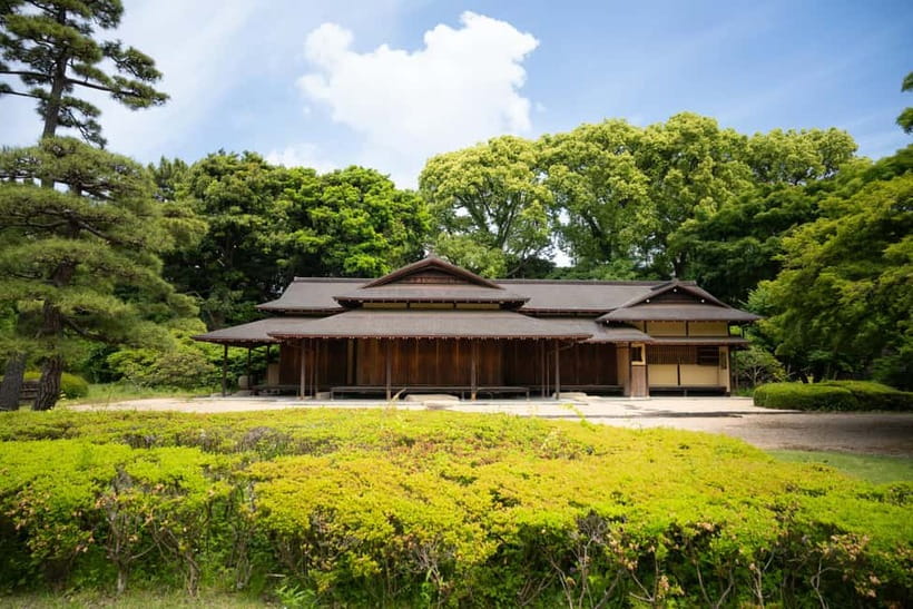 Tokyo Castle & Imperial PalaceーShogun Walking Tour - Weather, pace, and practical comfort