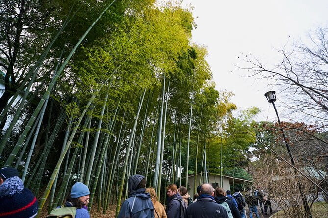 Tokyo Castle & Imperial PalaceーShogun Walking Tour - Sakurada Tatsumi Yagura and the first glimpse of the old fortress