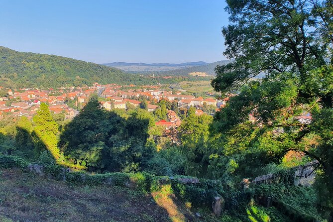 Tour of Bran CASTLE + Peles Castle + Brasov City from Bucharest - Private TOUR - Why the private vehicle changes the value