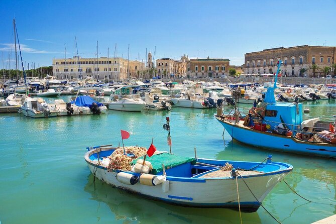 TRANI and Castel Del Monte UNESCO from your accomodation - Key points to know before booking