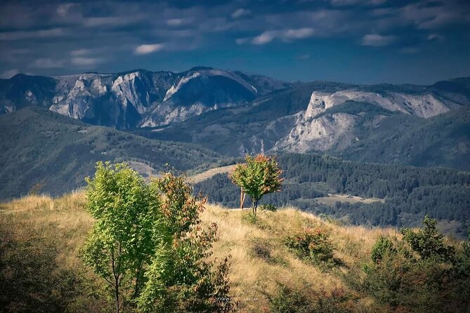 Transfer Bucharest -Brasov with Targoviste and Bran Castle visits - Brasov old town after the castle stops
