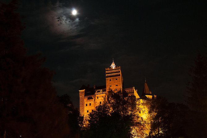 Transylvania with Dracula Castle, Bear Sanctuary and Brasov - Key points to know before you book