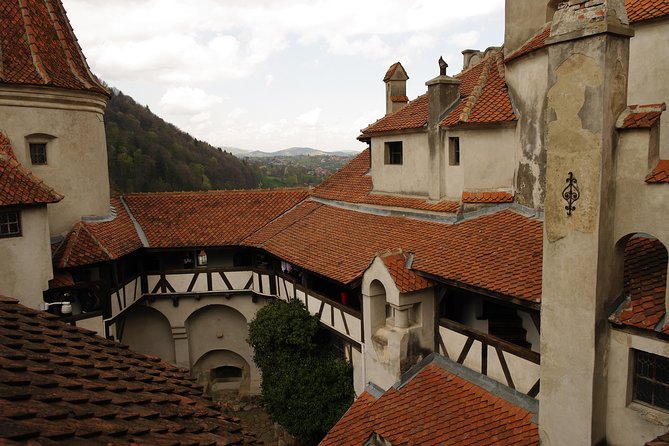 Transylvania with Dracula Castle, Bear Sanctuary and Brasov - Price, group size, and overall value