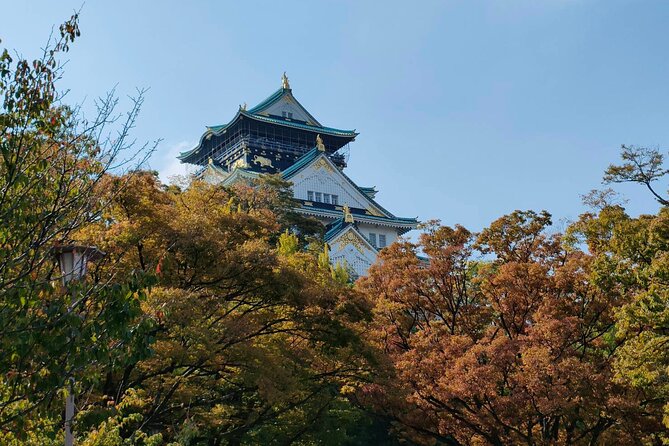 Ultimate Osaka Walking Tour: Castle, Dotonbori & Hidden Gems - Osaka Castle and the story of power