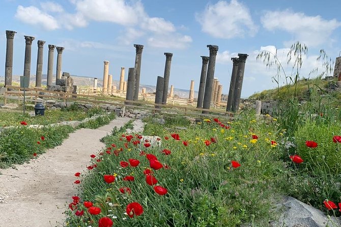 Umm Qais, Jerash & Ajloun Castle Day Tour from Amman - Why this northern Jordan route works