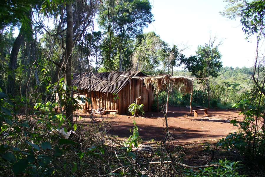 Visit Guarani village at Mborore Fort with brunch - The Spirit of Trees jungle walk