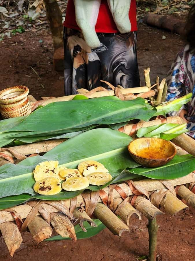 Visit Guarani village at Mborore Fort with brunch - What the guide can add to the experience