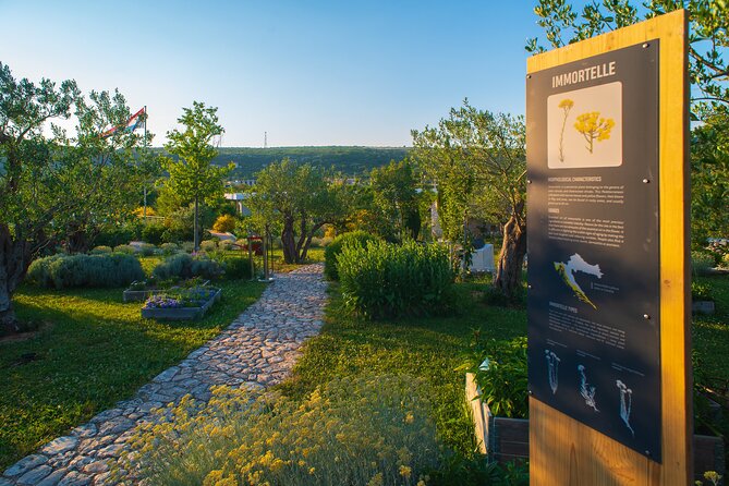 Visit Klis fortress GOT & Olive museum Klis - Getting from Stella Croatica to Klis Fortress